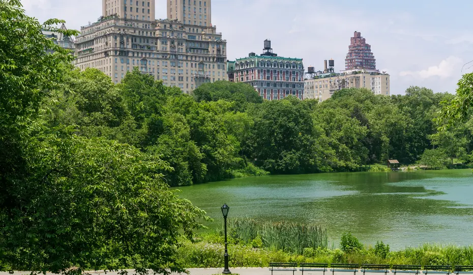 Enjoy a Walk at Cullen Central Park in Whitby